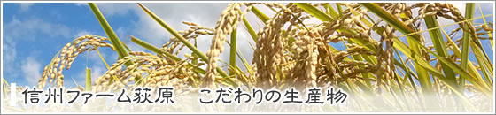 信州ファーム荻原 こだわいの生産物