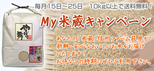 米蔵キャンペーン　送料無料!