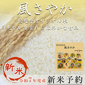 長野県オリジナル米「風さやか」