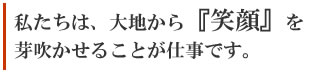 信州ファーム荻原のお米作り